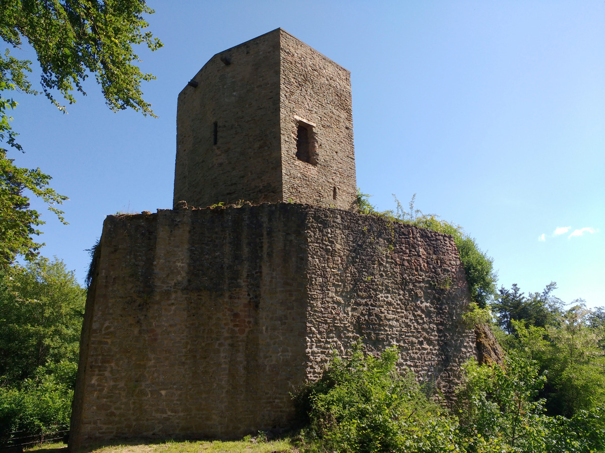 Schatzsuche der Wölflinge